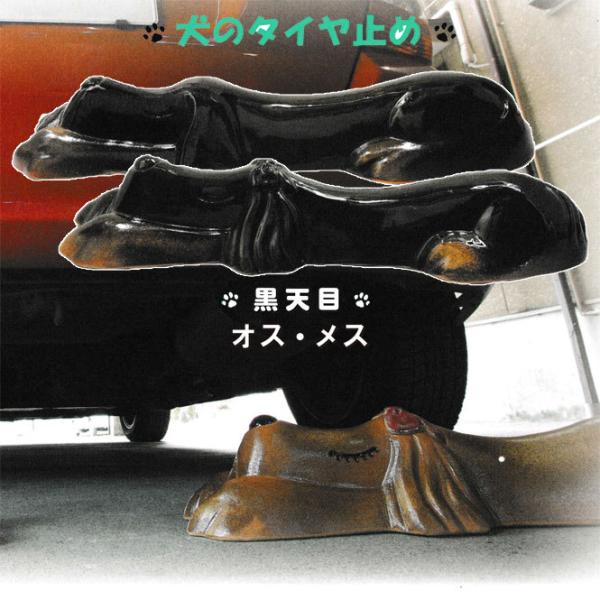 IbghbOiVځjyA IXEX@My Ԏ~ ^C~  u   K[W ʂ艮