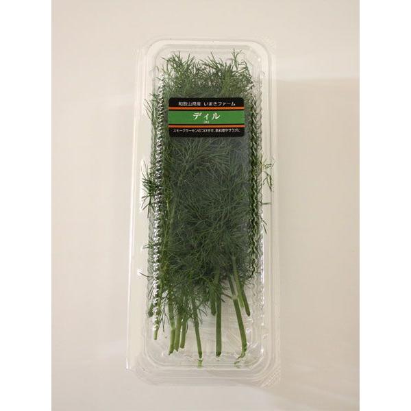 ディル 15g フレッシュハーブ 食用 和歌山県産スモークサーモンのつけ合わせ 魚料理やサラダに 魚料理と相性がよく サラダ ビネガー ピクルスなどに Dill 彩り屋 通販 Yahoo ショッピング