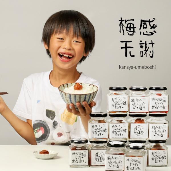 内容量：100g原材料： 南高梅 はちみつ（奥熊野産）しそ汁 塩 ヒマラヤ岩塩[化学調味料・化学甘味料無添加]保存方法：常温保存（高温・多湿になる場所を避ける） ※よりおいしく食べて頂くため、開封後は冷蔵庫での保存をおすすめします。賞味期限...