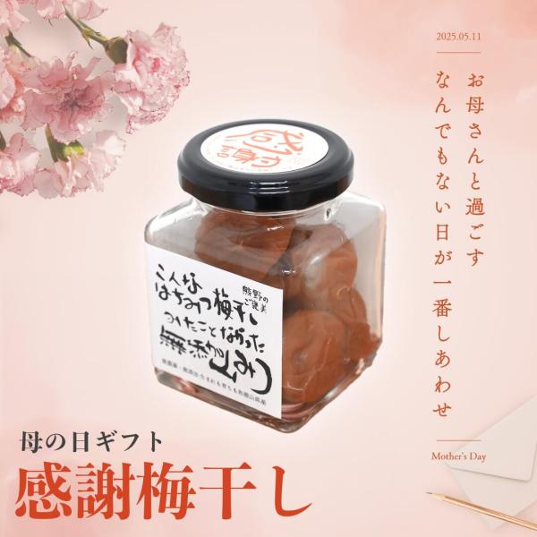 梅干し 無添加 無農薬 母の日 感謝梅干し 100g 南高梅 はちみつ 国産 紀州産 贈答用 ギフト 保存料無添加 甘味料無添加 栽培期間中農薬不使用 彩り屋