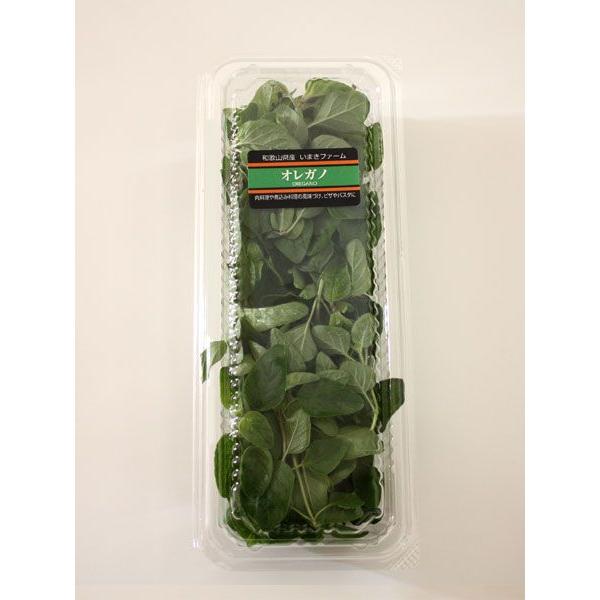 IKm 15 tbVn[u Hp a̎RY ύݗ̕ÂAsUpX^ɁAg}gɁB