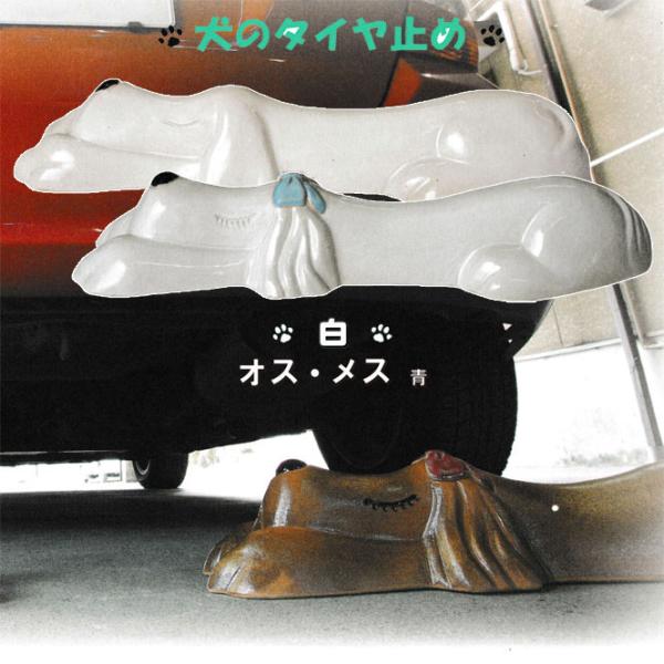 IbghbOijyA IXEXij@My Ԏ~ ^C~  u   K[W ʂ艮