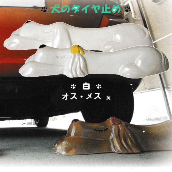 IbghbOijyA IXEXij@My Ԏ~ ^C~  u   K[W ʂ艮