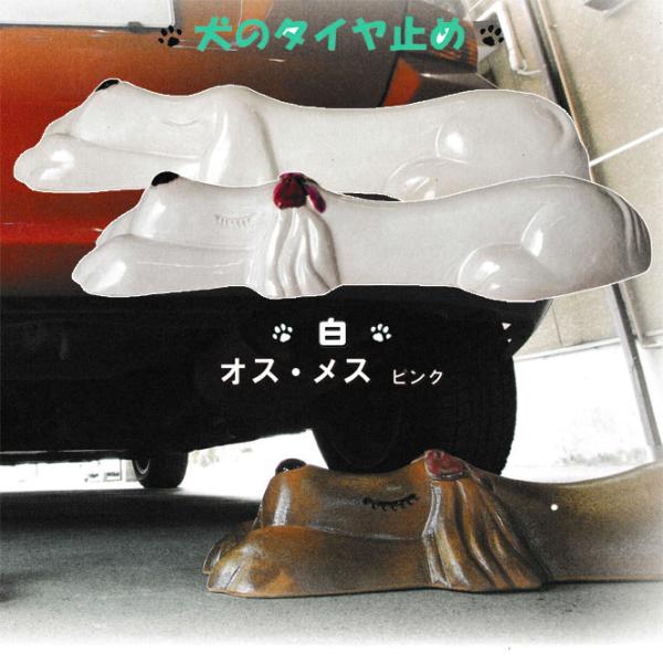 IbghbOijyA IXEXisNj@My Ԏ~ ^C~  u   K[W ʂ艮