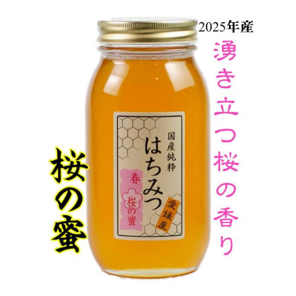 QP●プロフィール必読様　山桜のはちみつ・栗のはちみつ【各1200g】 ん様 山桜のはちみつ・栗のはちみつ【各1200g】 山桜はちみつ