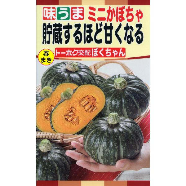 かぼちゃ imgrc0090850164.jpg