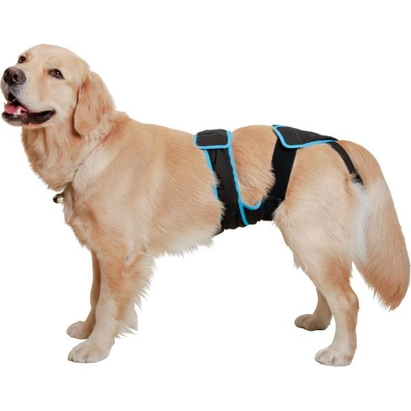 アイアンバロンの介護用ハーネス 後脚付 着たままねんねのハニカムつなぎ（大型犬用歩行補助
