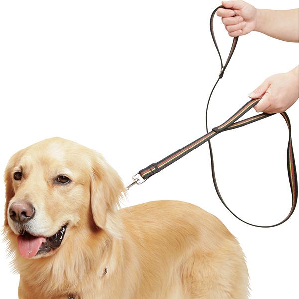 超大型犬用リード 2024 7月 New【大型犬・超大型犬用 ビオタン・エクストラ