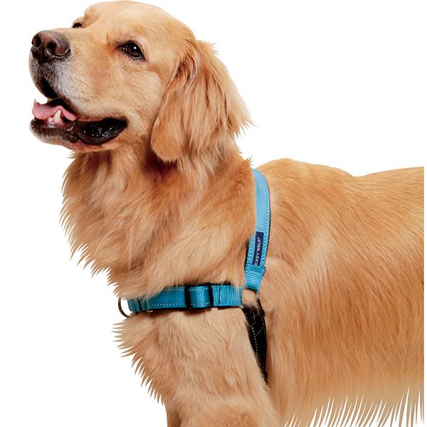 大型犬用 ｍサイズ デラックス イージーウォークハーネス 引っ張り防止胴輪 21ezwh 大型犬用品専門店 アイアンバロン 通販 Yahoo ショッピング