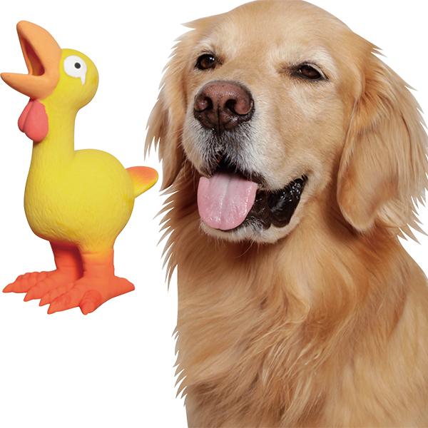 でっかい声の大きなニワトリ（63337） : 大型犬用品専門店 アイアン