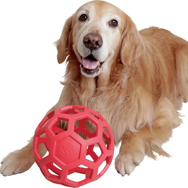ホーリーローラーボール(62624) : 大型犬用品専門店 アイアン ホーリーローラーボール(62624) : 大型犬用品専門店 アイアン