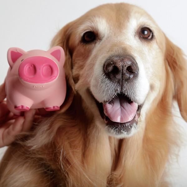 BooTon（ブートン）（62621） : 大型犬用品専門店 アイアンバロン