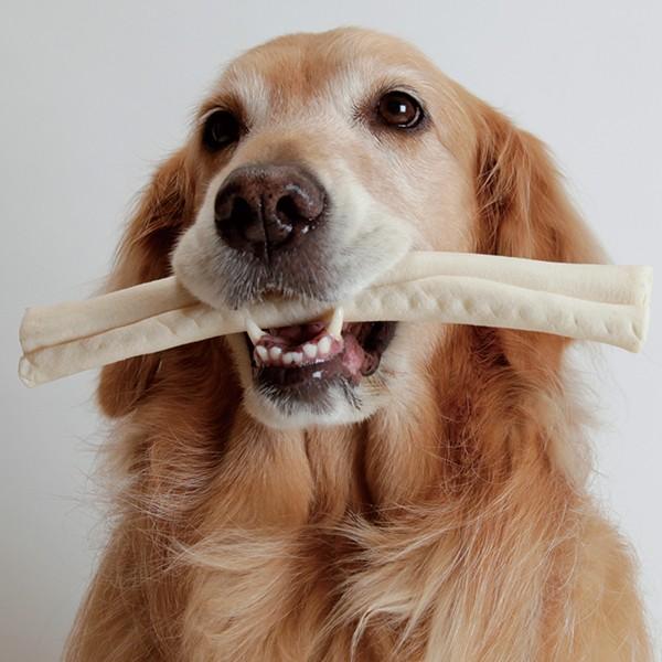 ダッドウェイ Petag ナチュラル牛皮ガム ロール 2本入 584 Dwgum N R2 大型犬用品専門店 アイアンバロン 通販 Yahoo ショッピング