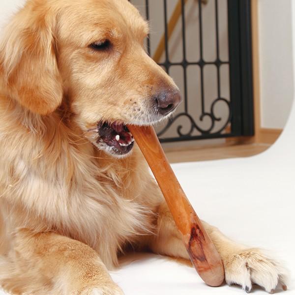 Fetch!（フェッチ）Sサイズ（62637） : 大型犬用品専門店 アイアン
