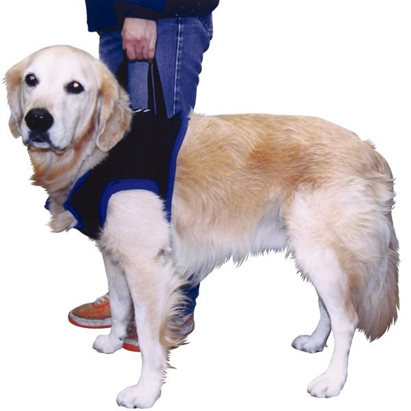 大型犬用歩行補助ハーネス 犬用歩行補助ハーネス LaLaWalk 大型犬用 ネオプレーン オレンジ