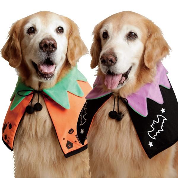 大型犬用 リバーシブル ハロウィンケープ P17 Rhwc アイアンバロンyahoo 店 通販 Yahoo ショッピング