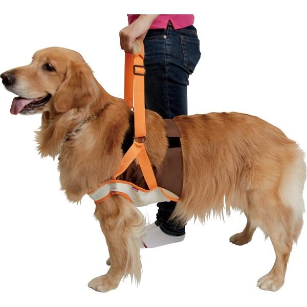 大型犬用介護用品 Petio 歩行補助ハーネス 前足用 3l Petiohhh F 3l 大型犬用品専門店 アイアンバロン 通販 Yahoo ショッピング