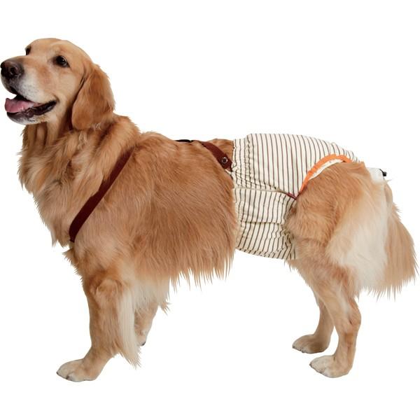 大型犬用介護用品 Petio おむつパンツ サスペンダー付 2lサイズ Petioomutsu10 2l 大型犬用品専門店 アイアンバロン 通販 Yahoo ショッピング