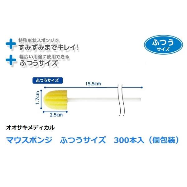 }EX|W@ӂ@1{i300܁j @Ɩp@IITLfBJ@oPA