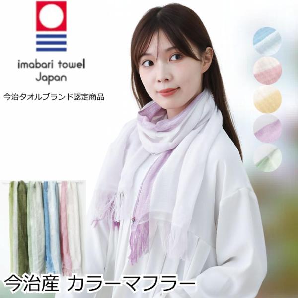 iryouboushiplaisir_pgv1500