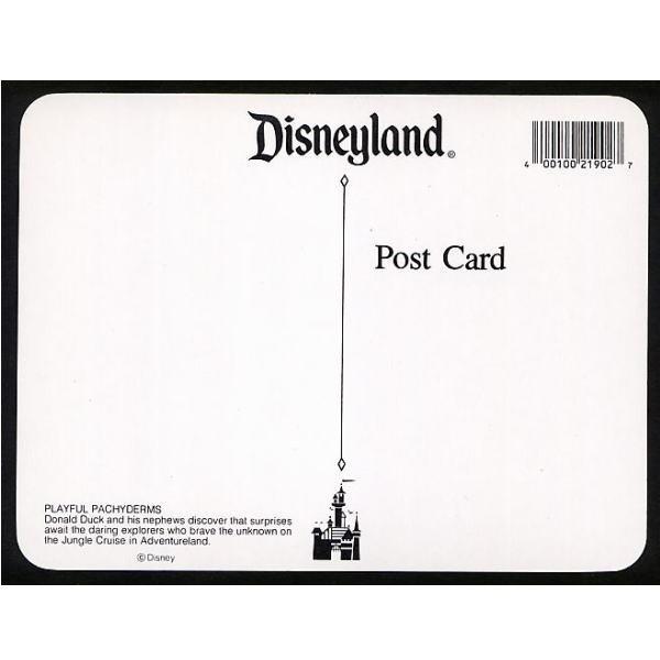 ディズニー ドナルド 甥っ子 ポストカード ジャングルクルーズ Dl ディズニーランド Usa 新品 少し大きなポストカード Buyee Buyee Japanese Proxy Service Buy From Japan Bot Online