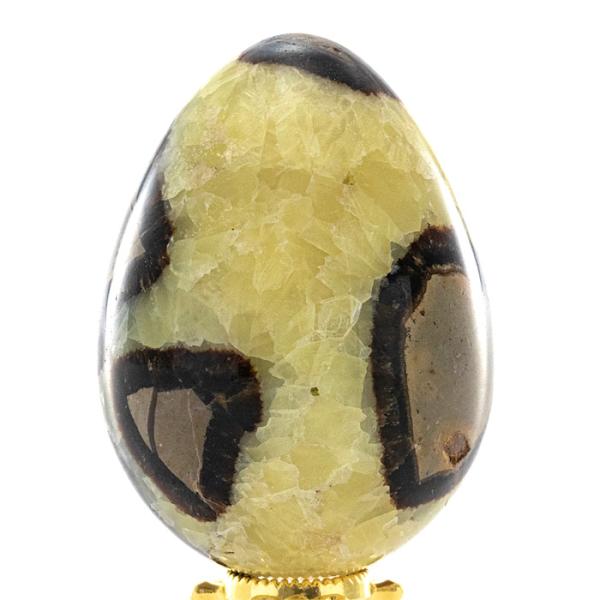 セプタリアン 卵型 （エッグ型） （マダガスカル産） No.1 : 宮忠