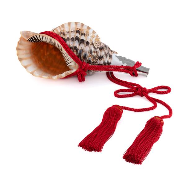 法螺貝　大形 法螺貝 大形 法螺貝 （ほら貝） 大型 No.11 : 宮忠 - 通販 - Yahoo