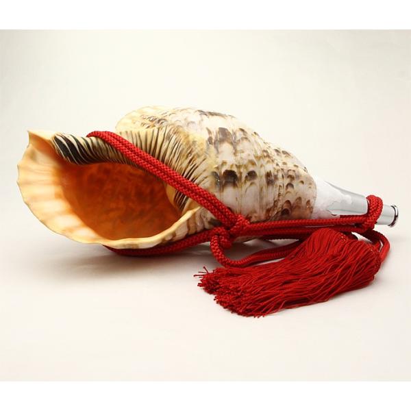 法螺貝　ほらがい　和楽器 楽天市場】法螺貝・歌口付 サイズ44cm-46cm 天台タイプ : 和楽器総合