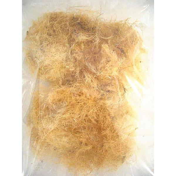 _CGbgɈ𔃂􂱂̖IƂĂ̌-ɐuY̓V20g