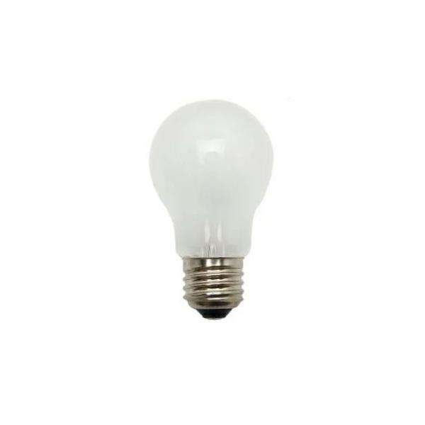 東洋ライテック TAI110V40WF/TC PS55 E26 110V 40W フロスト 耐震電球 口金 E26 40W 屋内 屋外 ダウンライト