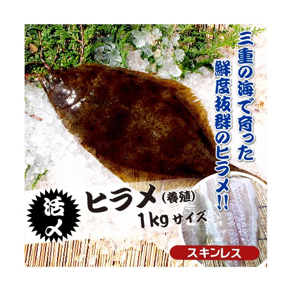 活〆 ひらめ 捌いてお届け！(スキンレス）1尾 [魚介類]（サイズ：1kg）