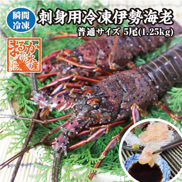 冷凍伊勢海老 刺身用伊勢海老 凍眠冷凍 標準サイズ 5尾入 1.25kg 送料無料[凍