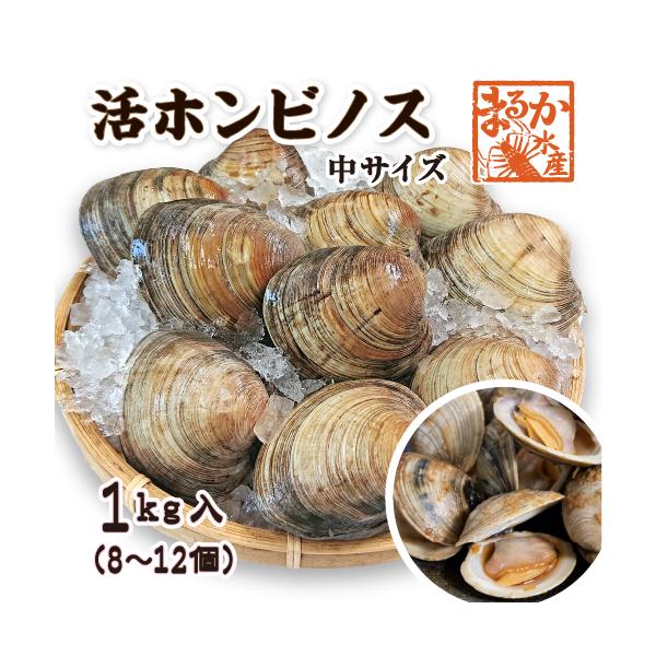 [内容量]活ホンビノス貝　中サイズ（80〜120ｇ）10個入り　約1ｋｇ[産地]主に千葉県[賞味期限]発送日より3日[発送方法]ヤマト運輸　クール冷蔵便