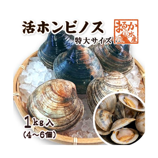 安いホンビノス貝の通販商品を比較 ショッピング情報のオークファン