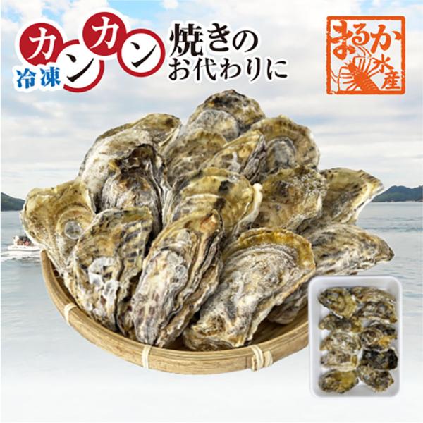 三重県鳥羽市の離島、答志島桃取の殻付牡蠣「桃こまち」一番、身の大きくなる3月〜4月の牡蠣を冷凍ました20個入っています。冷凍便でお届けします