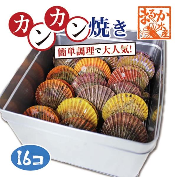 アッパッパでカンカン焼き 三重県産 16個 ひおうぎ貝 桧扇貝 Buyee Buyee 日本の通販商品 オークションの代理入札 代理購入