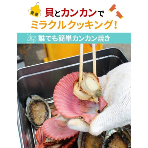 アッパッパでカンカン焼き 三重県産 16個 ひおうぎ貝 桧扇貝 Buyee Buyee Japanese Proxy Service Buy From Japan Bot Online