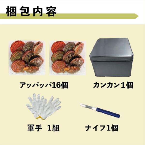 アッパッパでカンカン焼き 三重県産 16個 ひおうぎ貝 桧扇貝 Buyee Buyee 日本の通販商品 オークションの代理入札 代理購入