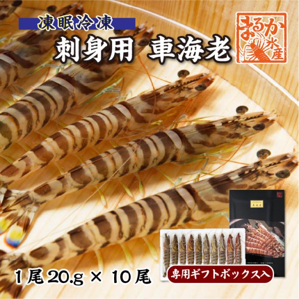 活きの良い車海老を活〆し最新の冷凍技術の「凍眠」で急速冷凍いたしました。プリプリの食感だけでなく、香りも保たれた、逸品です。 こちらの商品は、標準的な大きさの20ｇサイズが専用ギフトボックスに10本入っています。 トレーに1尾ずつ並べてパッ...