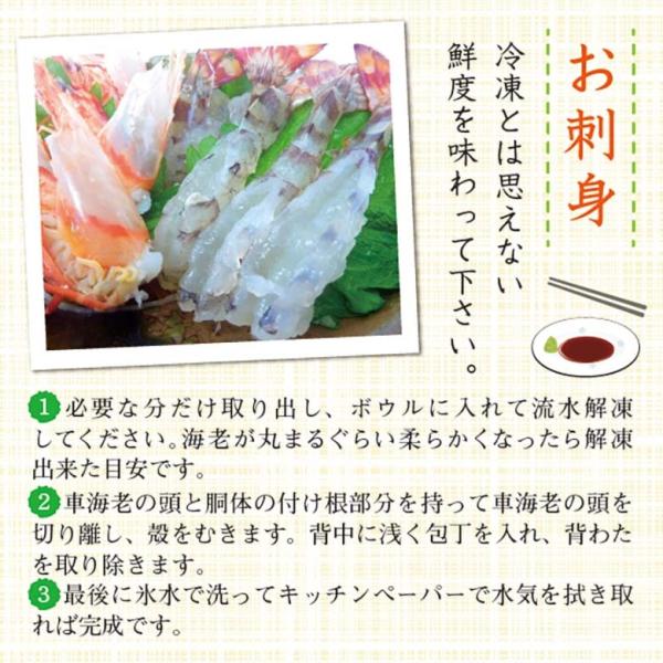 刺身用車海老凍眠10尾250ｇ 冷凍車海老 Buyee 日本代购平台 产品购物网站大全 Buyee一站式代购bot Online