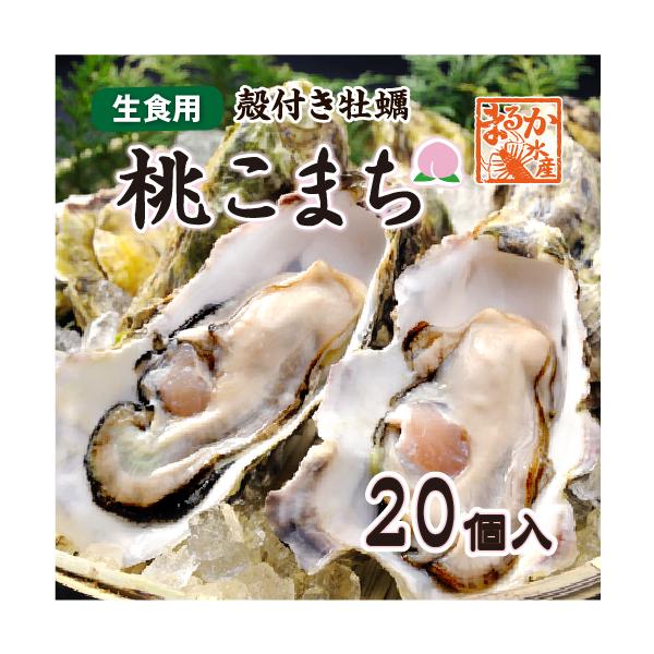 三重県鳥羽の離島、答志島桃取町のブランド牡蠣「桃こまち」の殻付牡蠣は、小ぶりながらも中身は殻の割に大きく、身が詰まっていて、濃厚な旨味が特徴の牡蠣です。まるか水産の「桃こまち」は、三重県のカキ安心システムを用いた、専用の浄化槽にて浄化処理を...