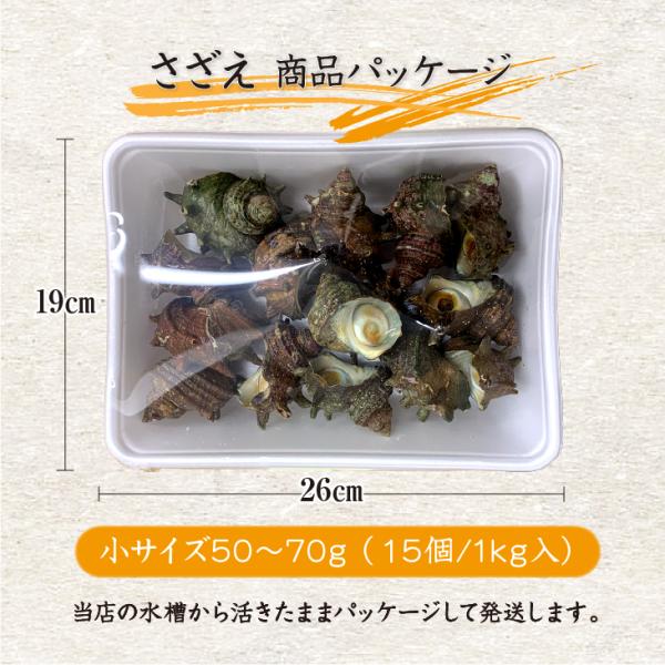 �V�R�� ������ ���T�C�Y 1kg 15�� 50�`70g [������] ���i�摜2
