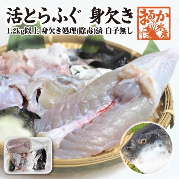 非常に肉質の良い長崎産の高級「とらふぐ」を身欠処理（除毒）をしてお届けいたします。白子は入っていません原魚1.2ｋｇの大きめのサイズを身欠加工して700〜800gになります。出荷の当日に捌いて、冷蔵で発送いたします。ご家庭で、てっさ、てっち...