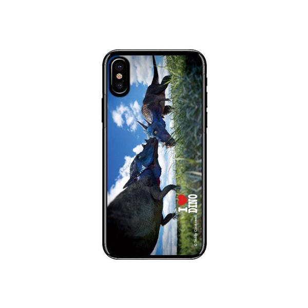 iPhone XEXS pLPt@TEX X}zP[X (󒍐Y)