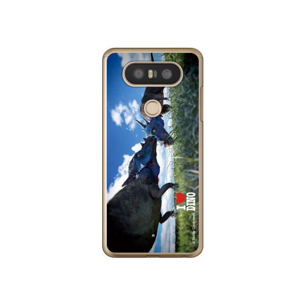 isai Beat LGV34 P[X V20 PRO L-01J pLPt@TEX X}zP[X (󒍐Y)