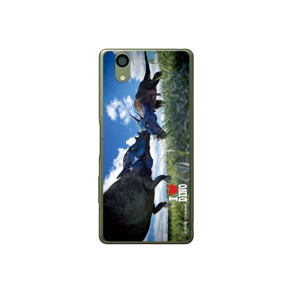 arrows NX F-01K pLPt@TEX X}zP[X (󒍐Y)