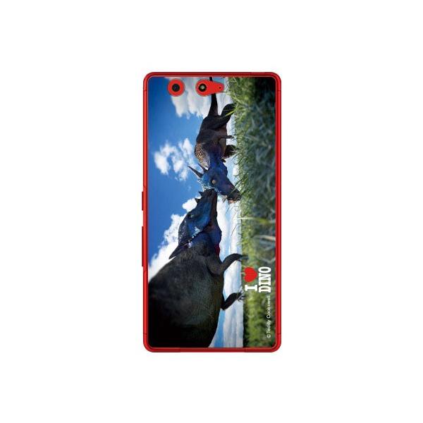 arrows Be F-05J pLPt@TEX X}zP[X (󒍐Y)