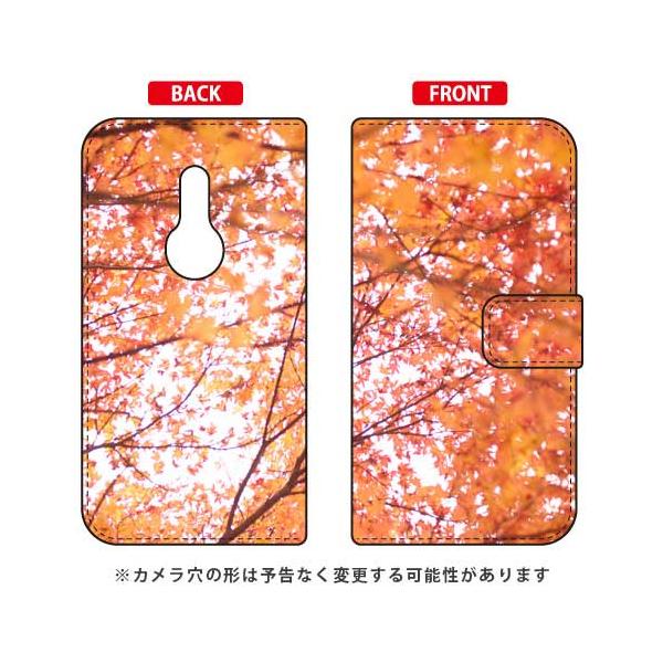 arrows Be4 P[X F-41A 蒠 |яȌ ~WmL X}zP[X (󒍐Y)