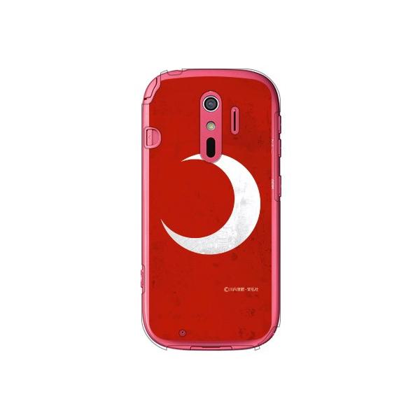 炭炭X}[gtH4 F-04J ʁiObhj X}zP[X (󒍐Y)