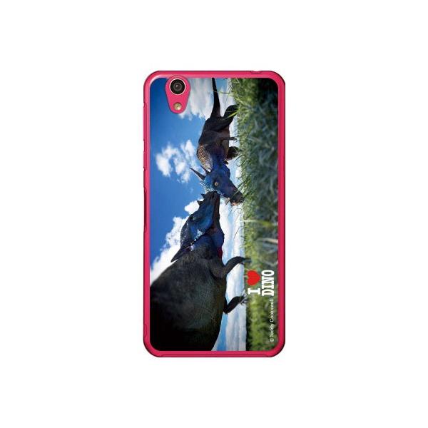 AQUOS EVER P[X pLPt@TEX X}zP[X (󒍐Y)